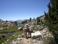 USA-California-John Muir Getaway Pack Trips